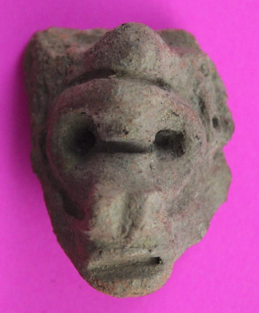 Puerto Rico Taino Pre Columbian Pottery Artifact FREE Display Case 1000AD COA 58