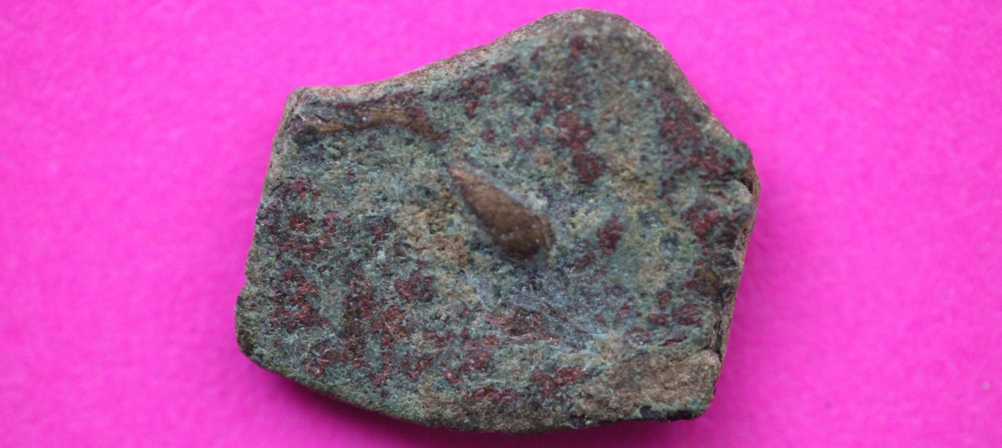 Widows Mite Coin Holy Land Artifact Free Display Frame Jesus Christ Lifetime 180