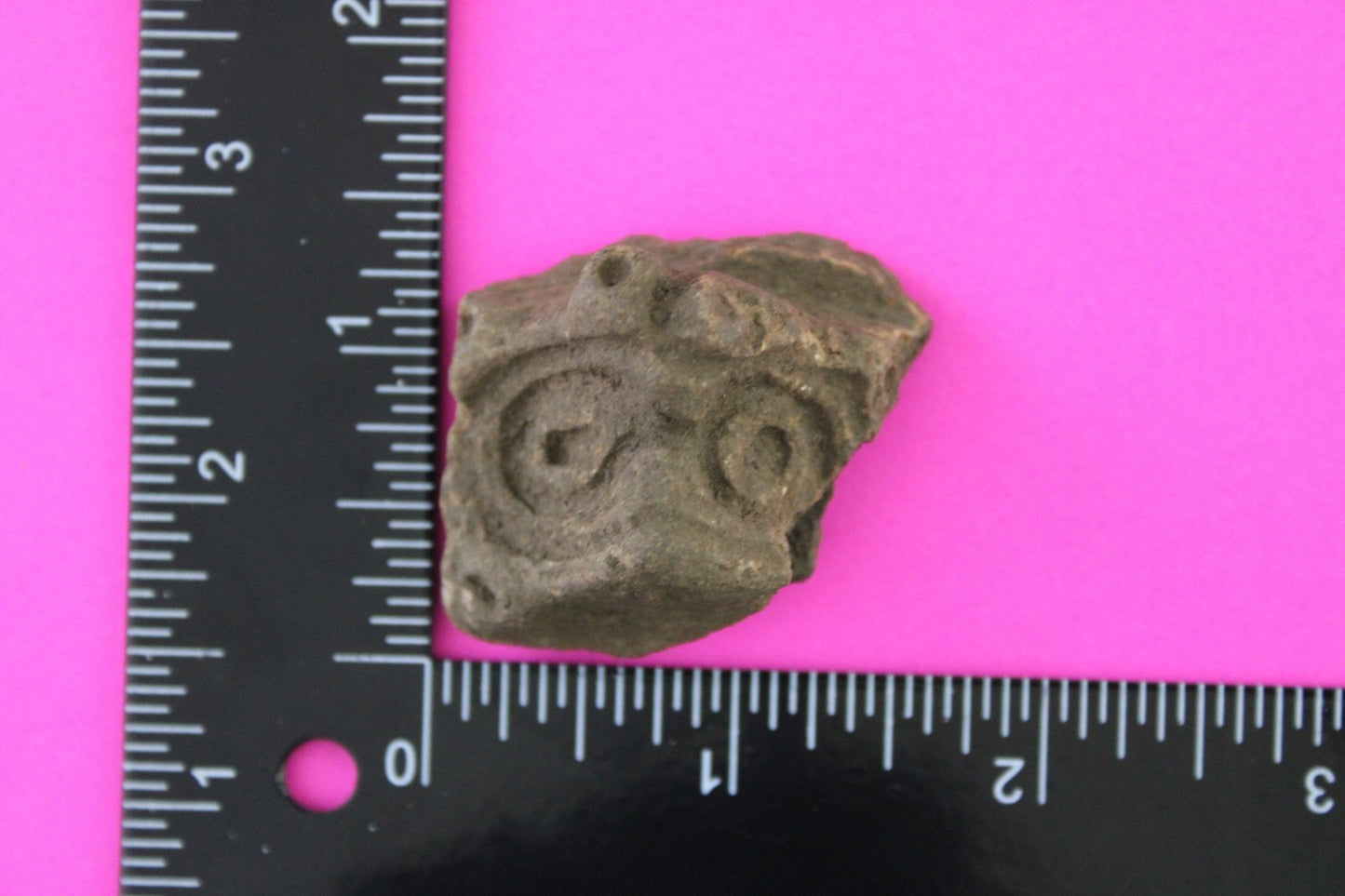 Puerto Rico Taino Pre Columbian Pottery Artifact FREE Display Case 1000AD COA 90