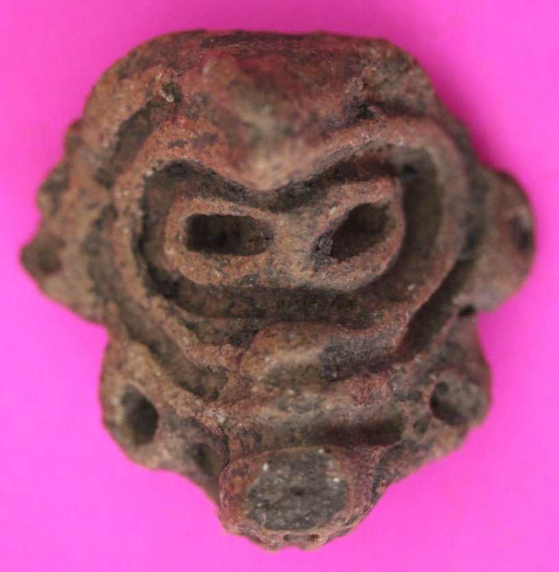 Puerto Rico Taino Pre Columbian Pottery Artifact FREE Display Case 1000AD COA 29