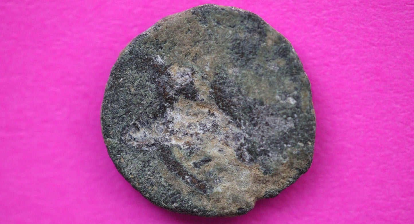 Widows Mite Coin Holy Land Artifact Free Display Frame Jesus Christ Lifetime 159