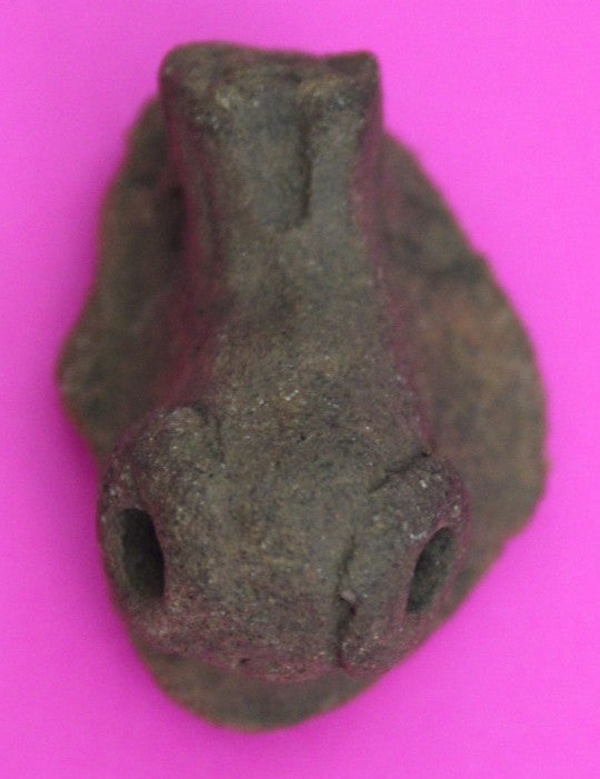 Puerto Rico Taino Pre Columbia Pottery Artifact FREE Display Case 1000 AD COA 42