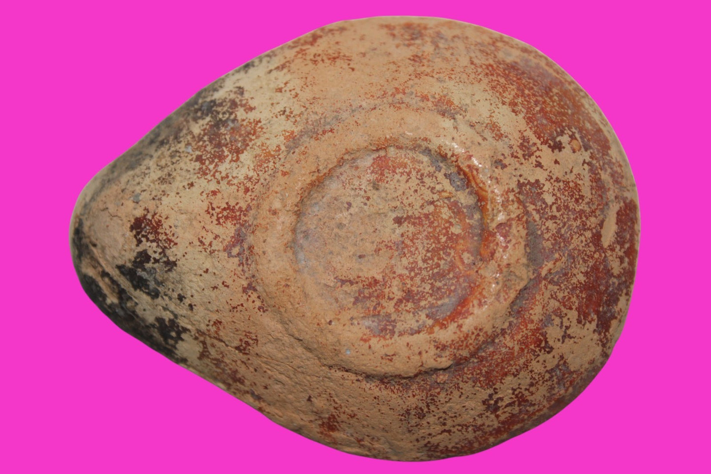 Ancient Holy Land Oil Lamp Artifact From Jesus Christ Home Land 100-500AD COA 59