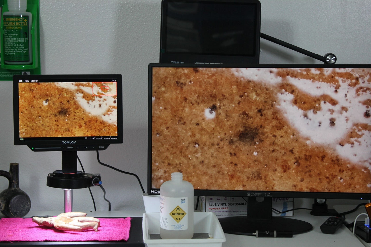 Pre Columbian Artifact Colima Shaman Mexico 300BC-300AD Certified COA J12