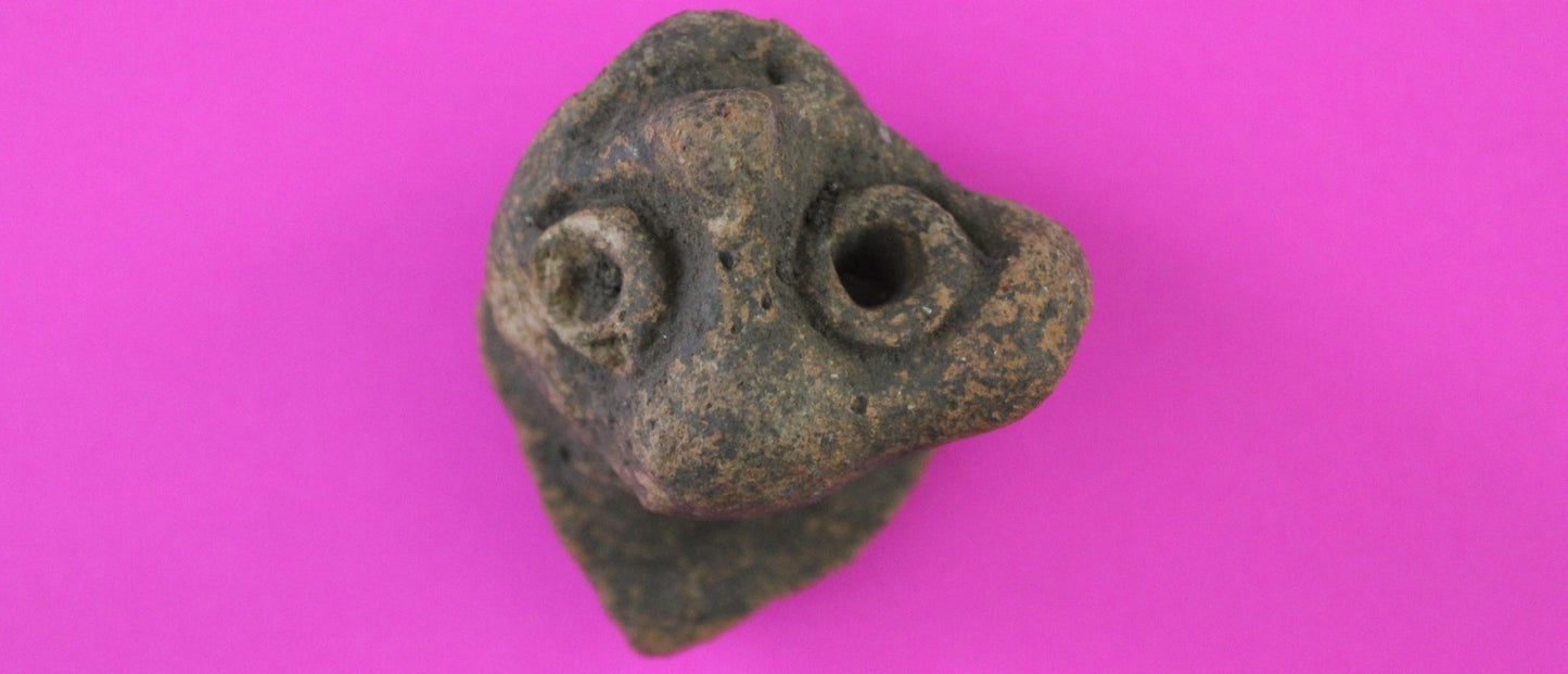 Puerto Rico Taino Pre Columbian Pottery Artifact FREE Display Case 1000AD COA 87