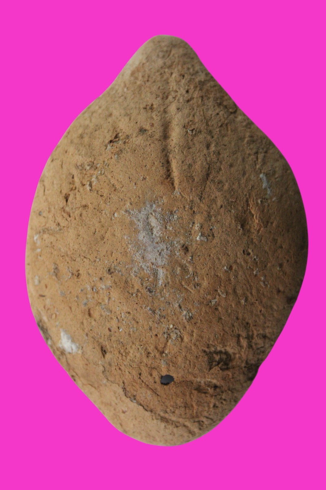 Ancient Holy Land Oil Lamp Artifact Land of Jesus Christ 100 BC-200 AD COA J146