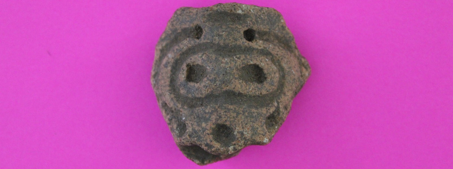 Puerto Rico Taino Pre Columbian Pottery Artifact FREE Display Case 1000AD COA 94