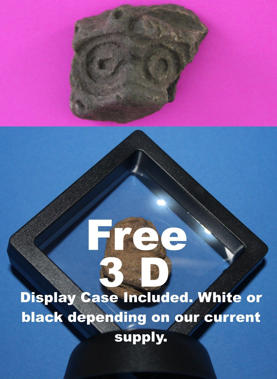 Puerto Rico Taino Pre Columbian Pottery Artifact FREE Display Case 1000AD COA 90