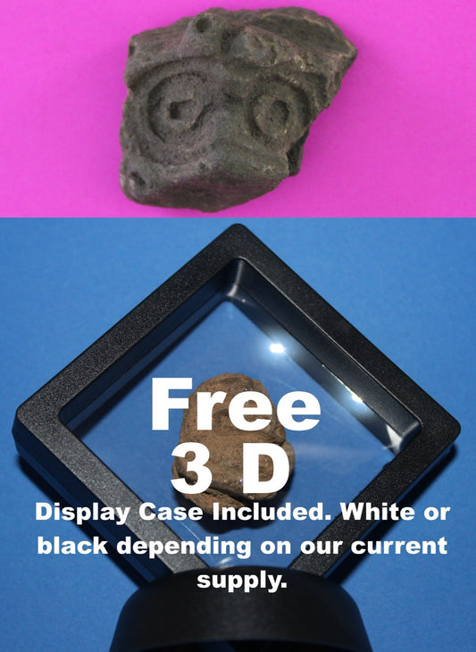 Puerto Rico Taino Pre Columbian Pottery Artifact FREE Display Case 1000AD COA 90