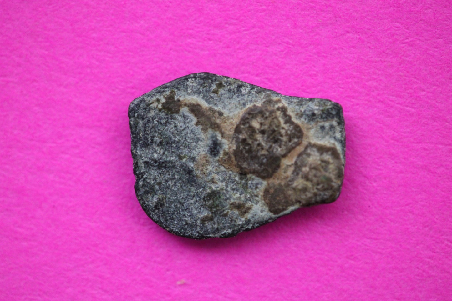 Widows Mite Coin Holy Land Artifact Free Display Frame Jesus Christ Lifetime 59