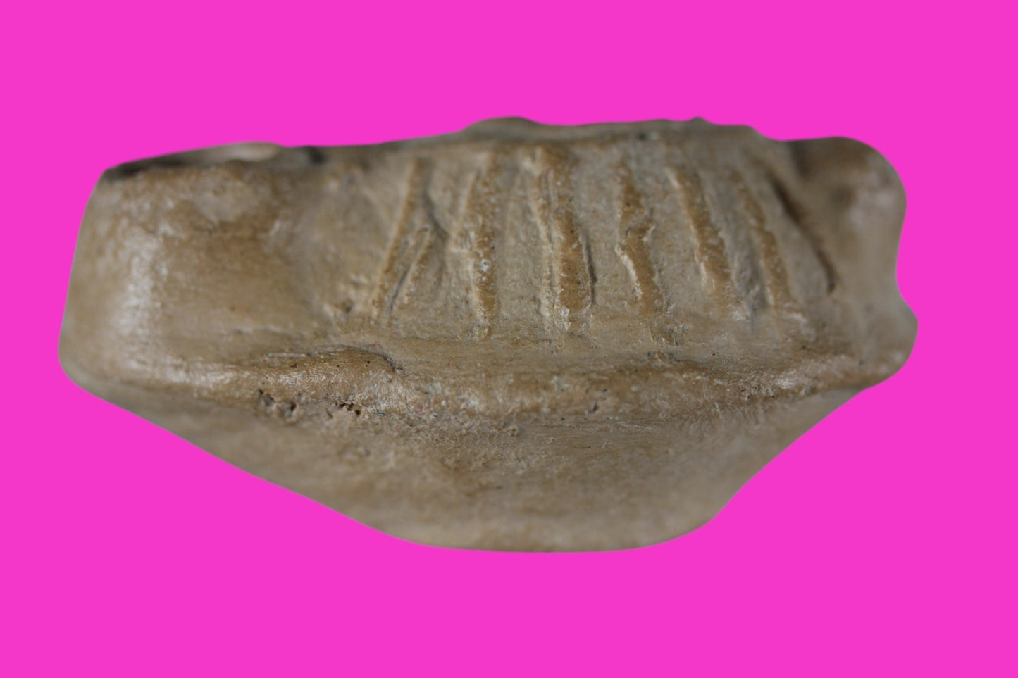 Ancient Holy Land Oil Lamp Artifact Jesus Christ Homeland 100 - 400 AD COA L12