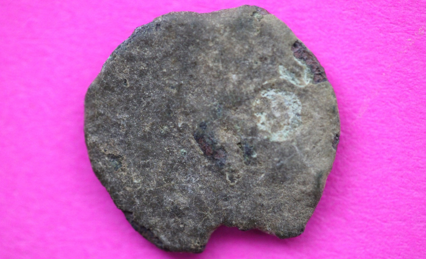 Widows Mite Coin Holy Land Artifact Free Display Frame Jesus Christ Lifetime 115