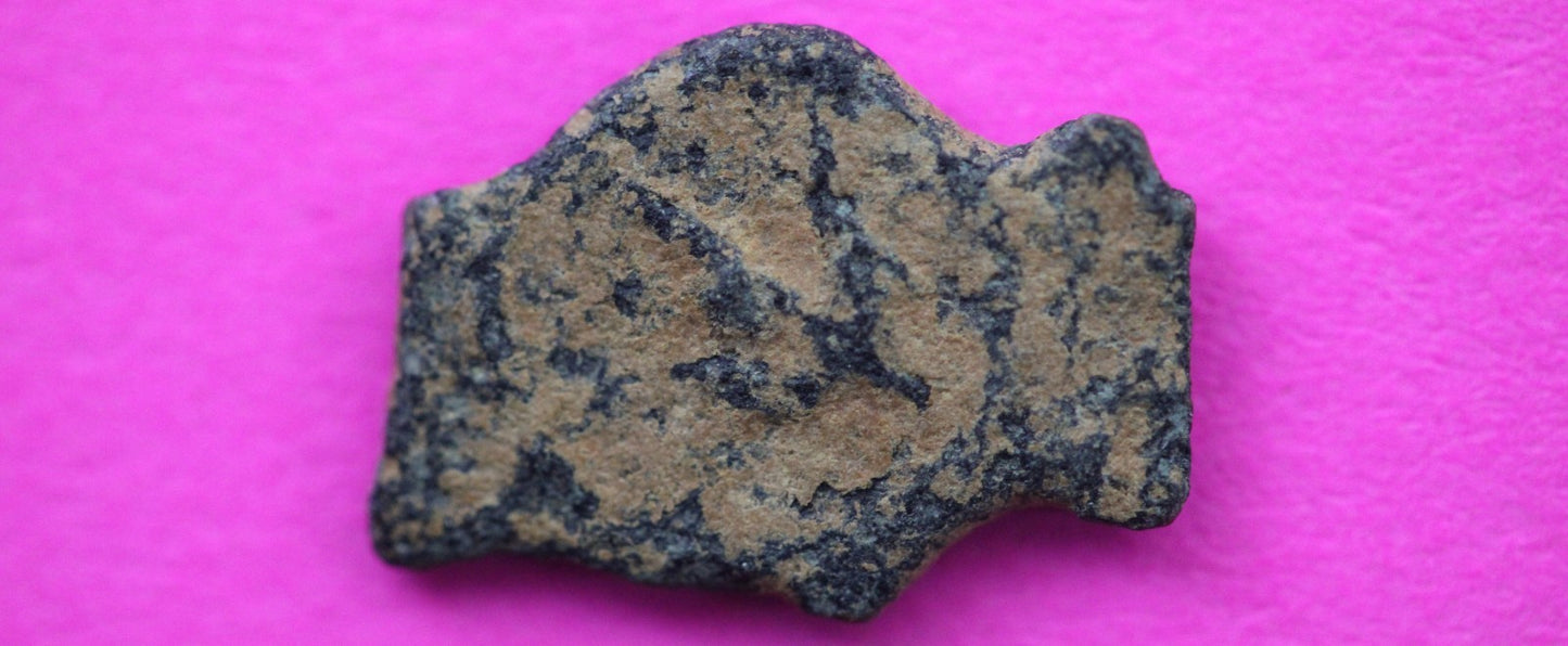 Widows Mite Coin Holy Land Artifact Free Display Frame Jesus Christ Lifetime 111