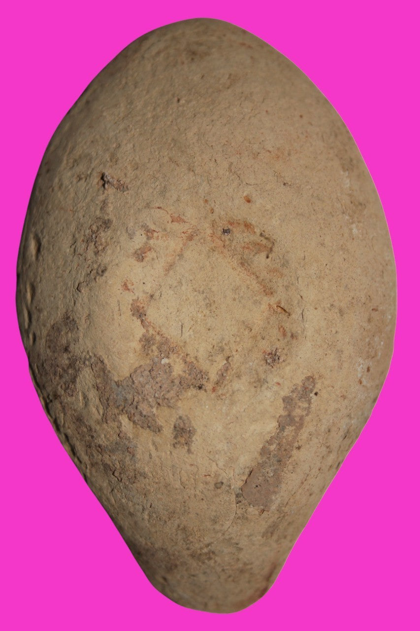 Ancient Holy Land Oil Lamp Artifact From Jesus Christ Homeland 400-500AD COA 28