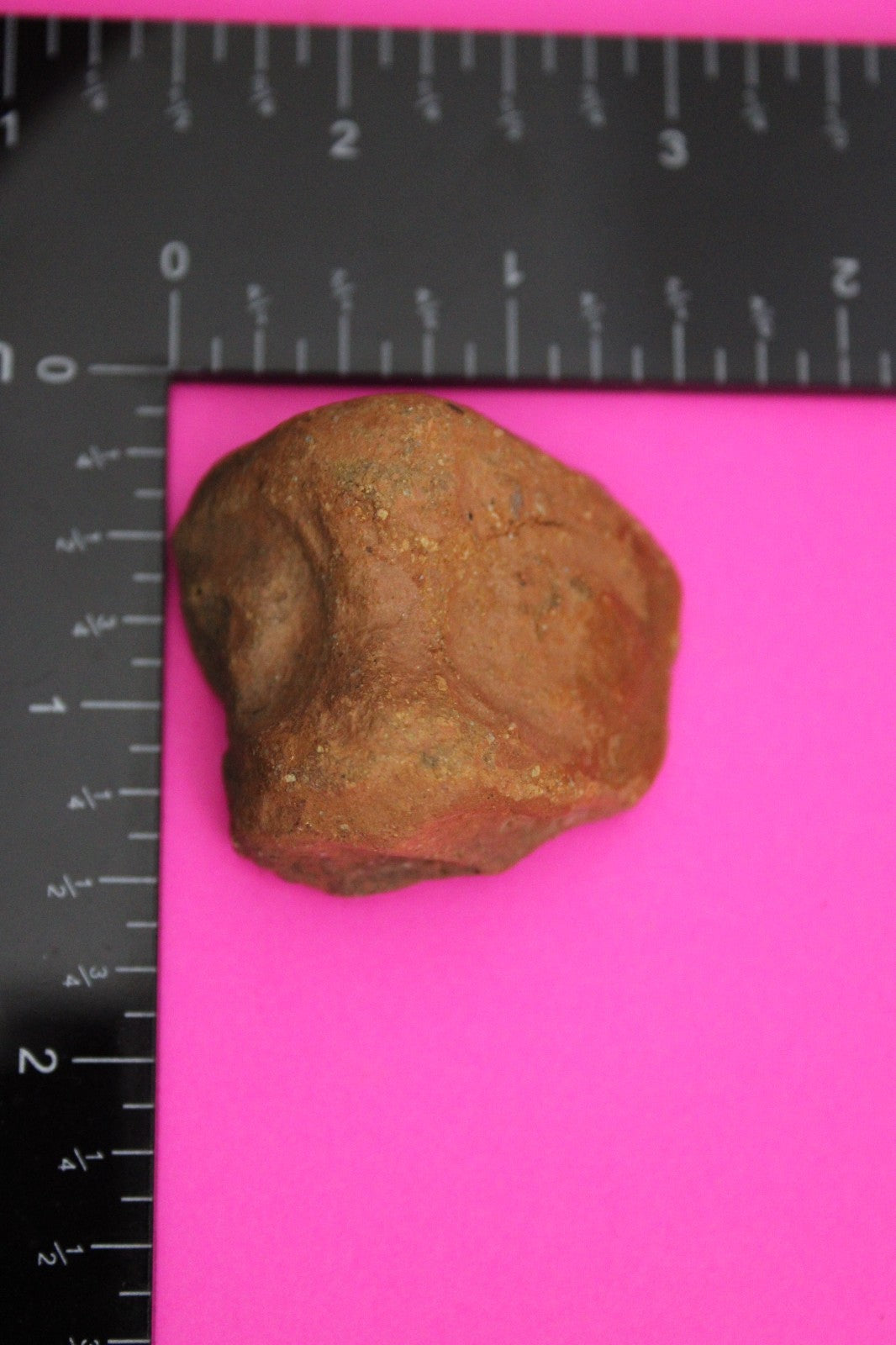 Puerto Rico Taino Pre Columbian Pottery Artifact FREE Display Case 1000AD COA 03