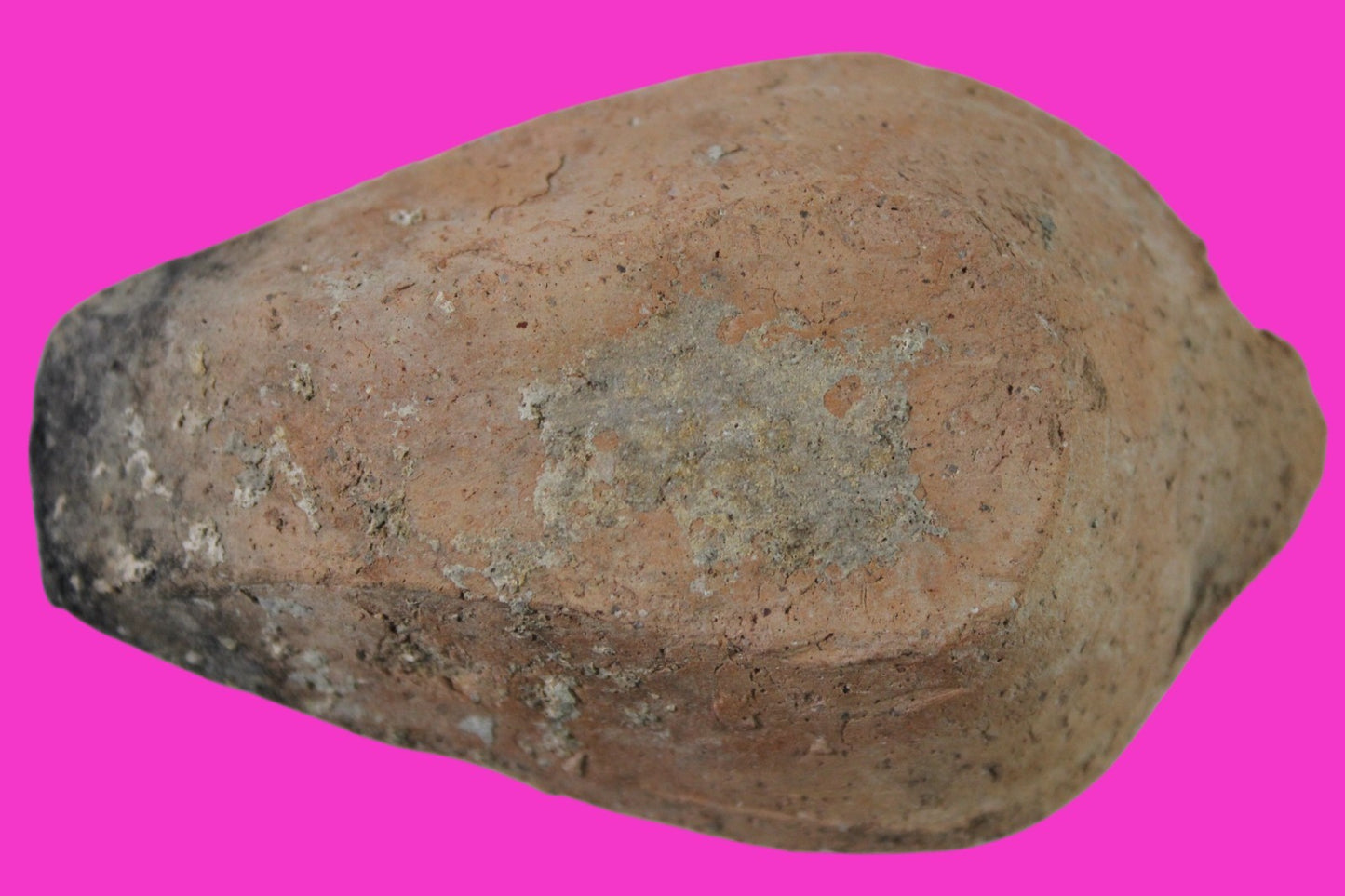 Oil Lamp Holy Land Ancient Artifact Jesus Christ Home Israel 300-600 AD COA 85