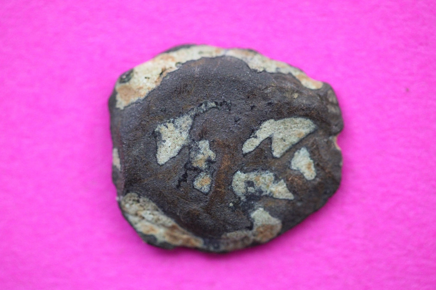 Widows Mite Coin Holy Land Artifact Free Display Frame Jesus Christ Lifetime 50