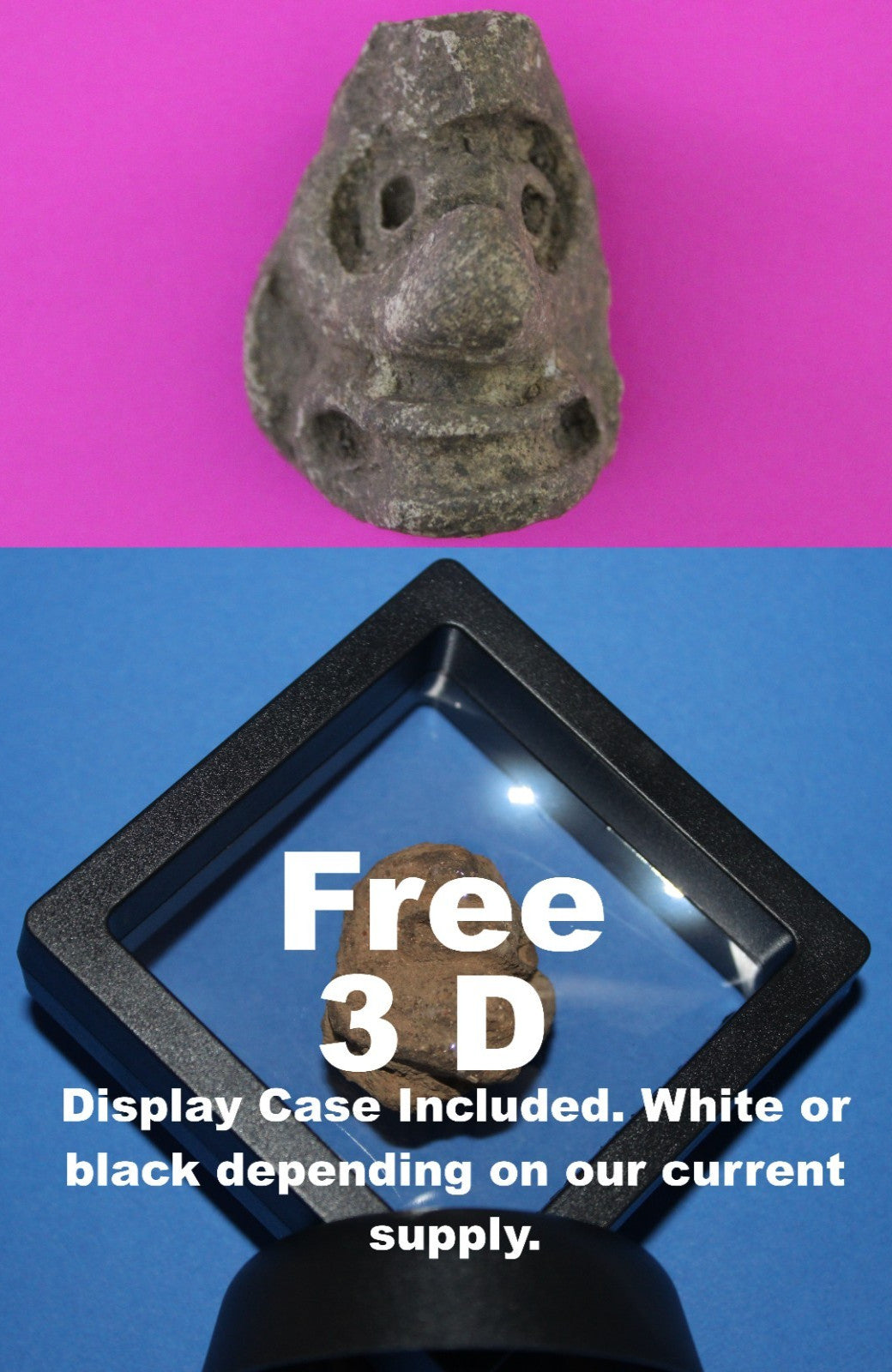 Puerto Rico Taino Precolumbian Pottery Artifact FREE Display Case 1000 AD COA 88