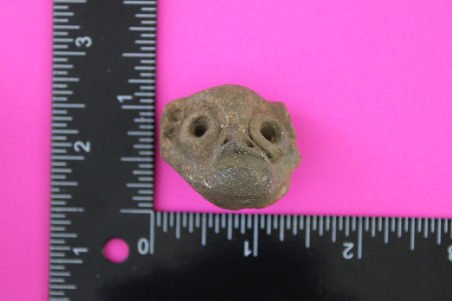 Puerto Rico Taino Pre Columbian Pottery Artifact FREE Display Case 1000AD COA 86