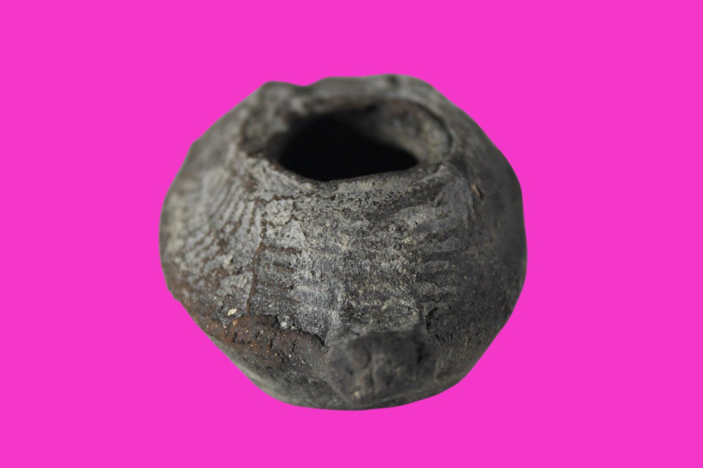 Oil Lamp Holy Land Ancient Artifact Jesus Christ Home Israel 300-600 AD COA 73