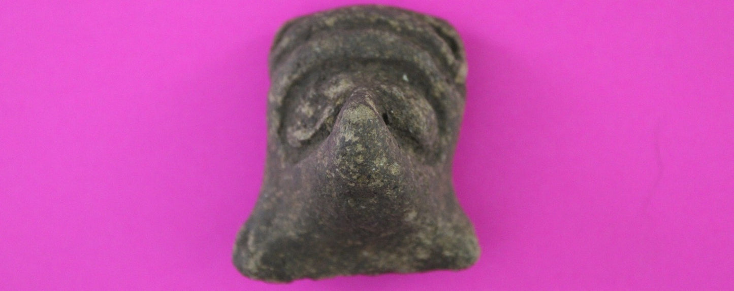 Puerto Rico Taino Pre Columbian Pottery Artifact FREE Display Case 1000AD COA 81