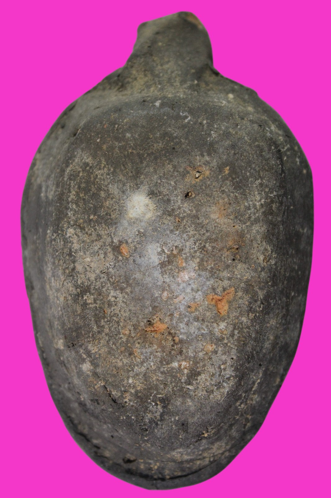 Oil Lamp Holy Land Ancient Artifact Jesus Christ Home Israel 300-600 AD COA 75