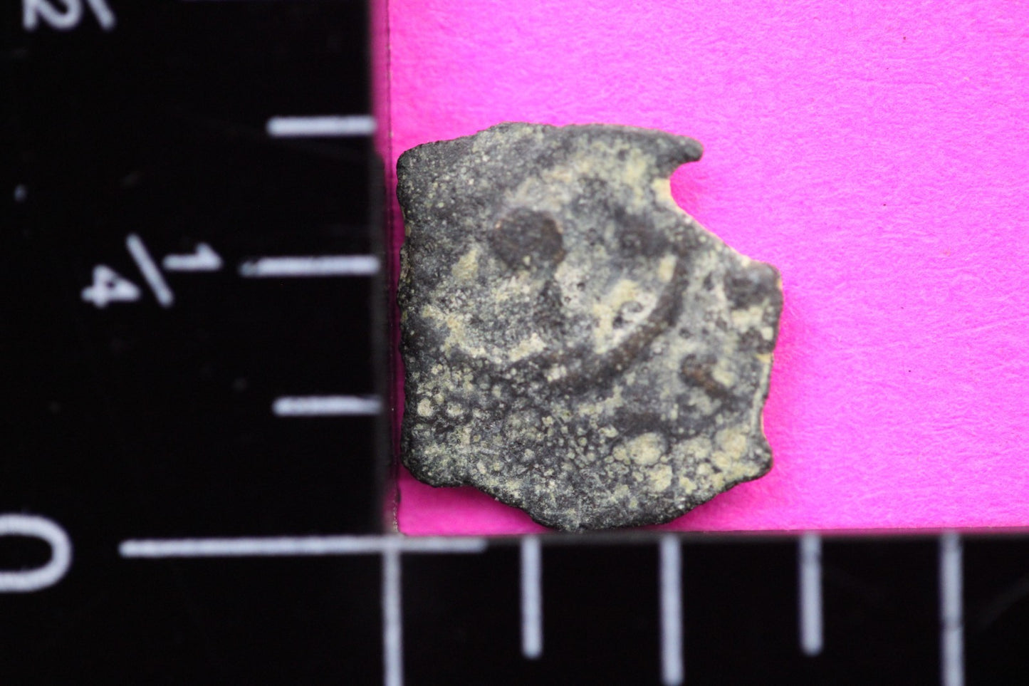 Widows Mite Coin Holy Land Artifact Free Display Frame Jesus Christ Lifetime 108