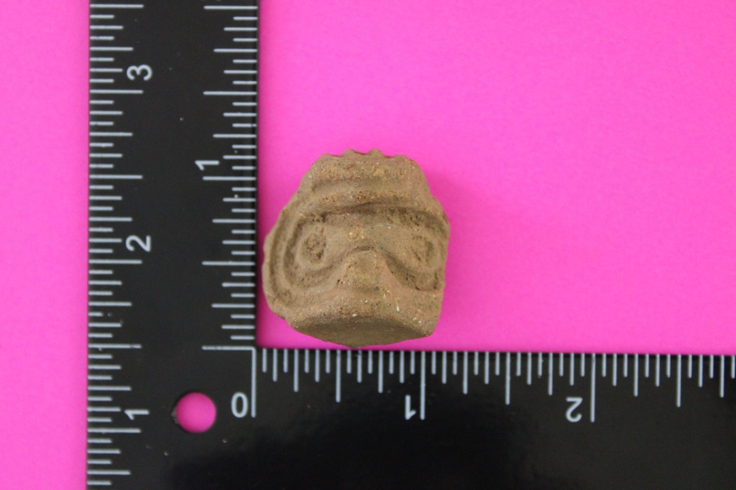 Puerto Rico Taino Pre Columbian Pottery Artifact FREE Display Case 1000AD COA 78