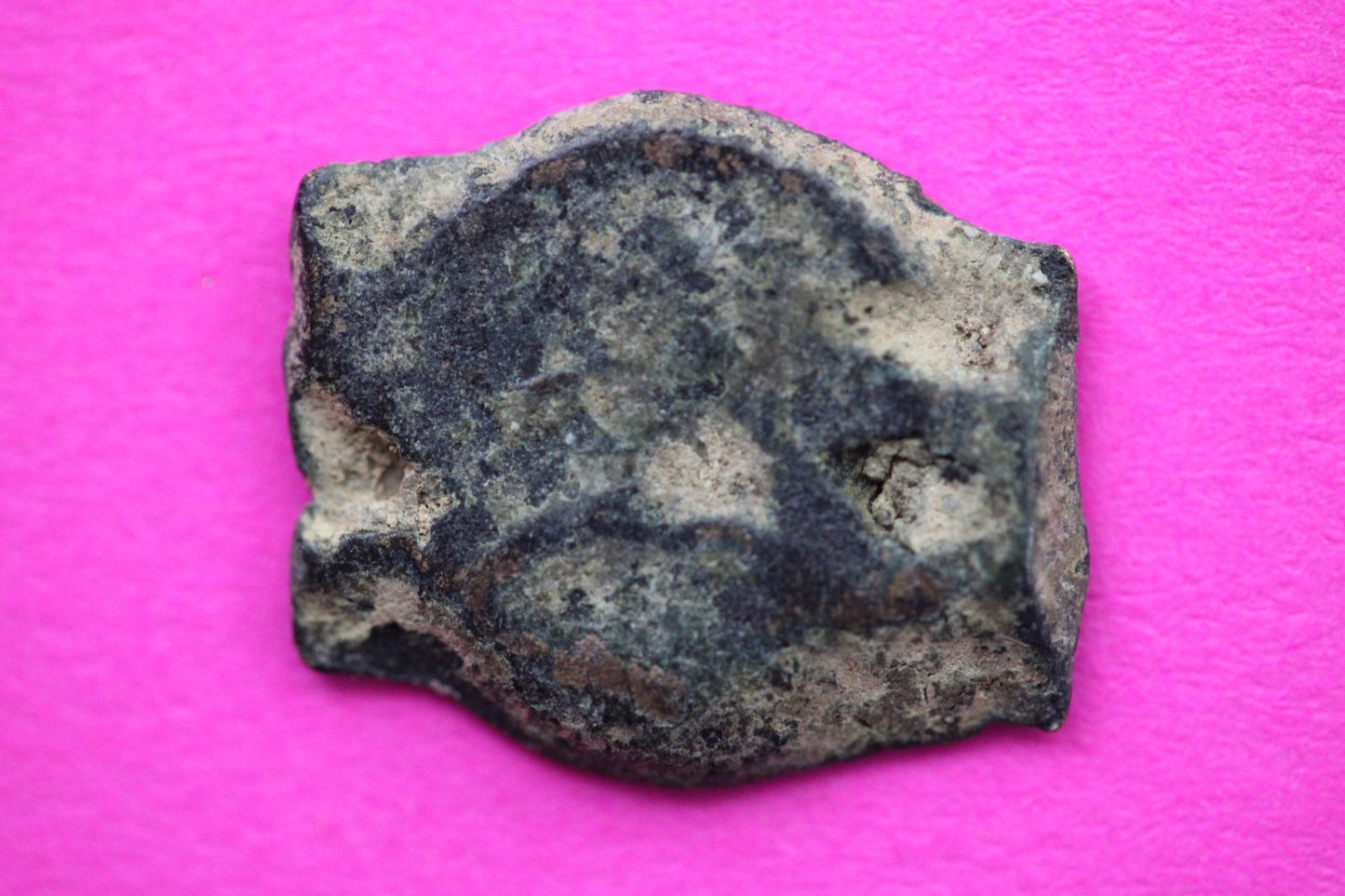 Widows Mite Coin Holy Land Artifact Free Display Frame Jesus Christ Lifetime 97