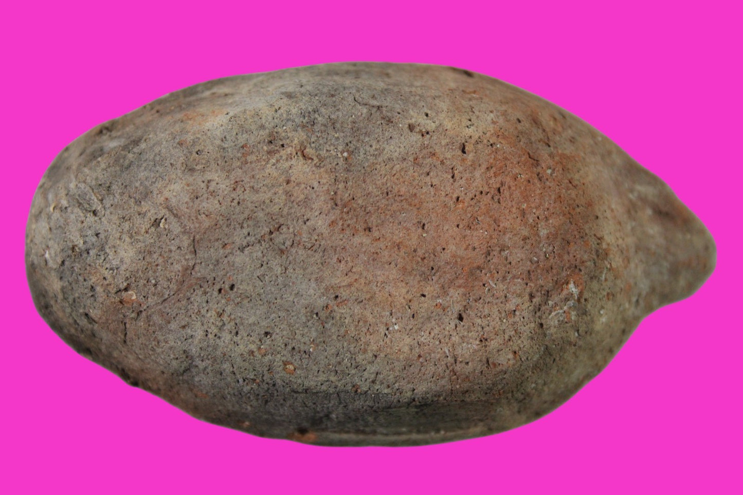 Oil Lamp Holy Land Ancient Artifact Jesus Christ Home Israel 300-600 AD COA 69