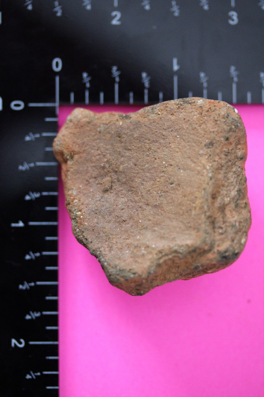 Puerto Rico Taino Pre Columbian Pottery Artifact FREE Display Case 1000AD COA 44