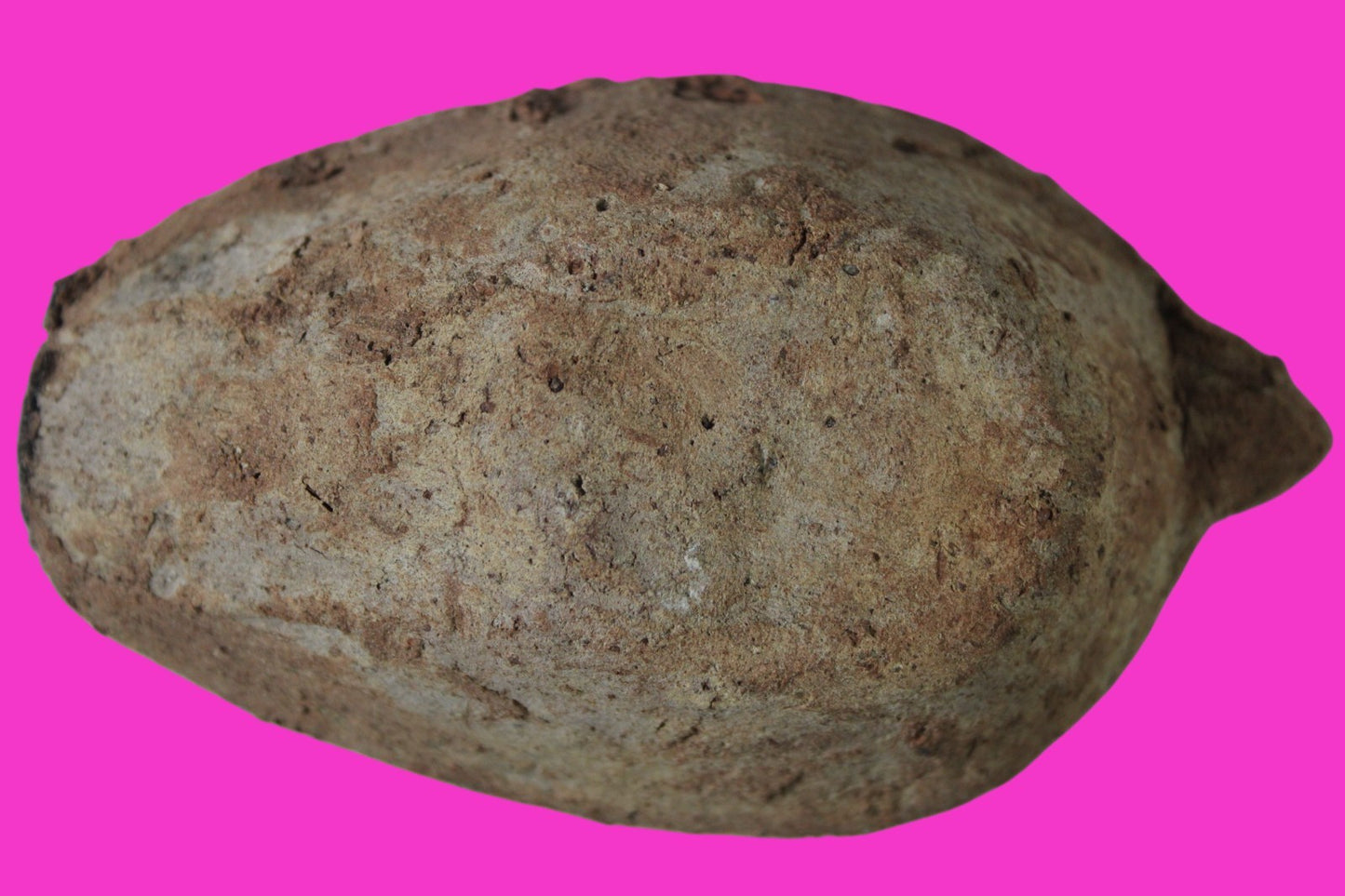 Oil Lamp Holy Land Ancient Artifact Jesus Christ Home Israel 300-600 AD COA 127