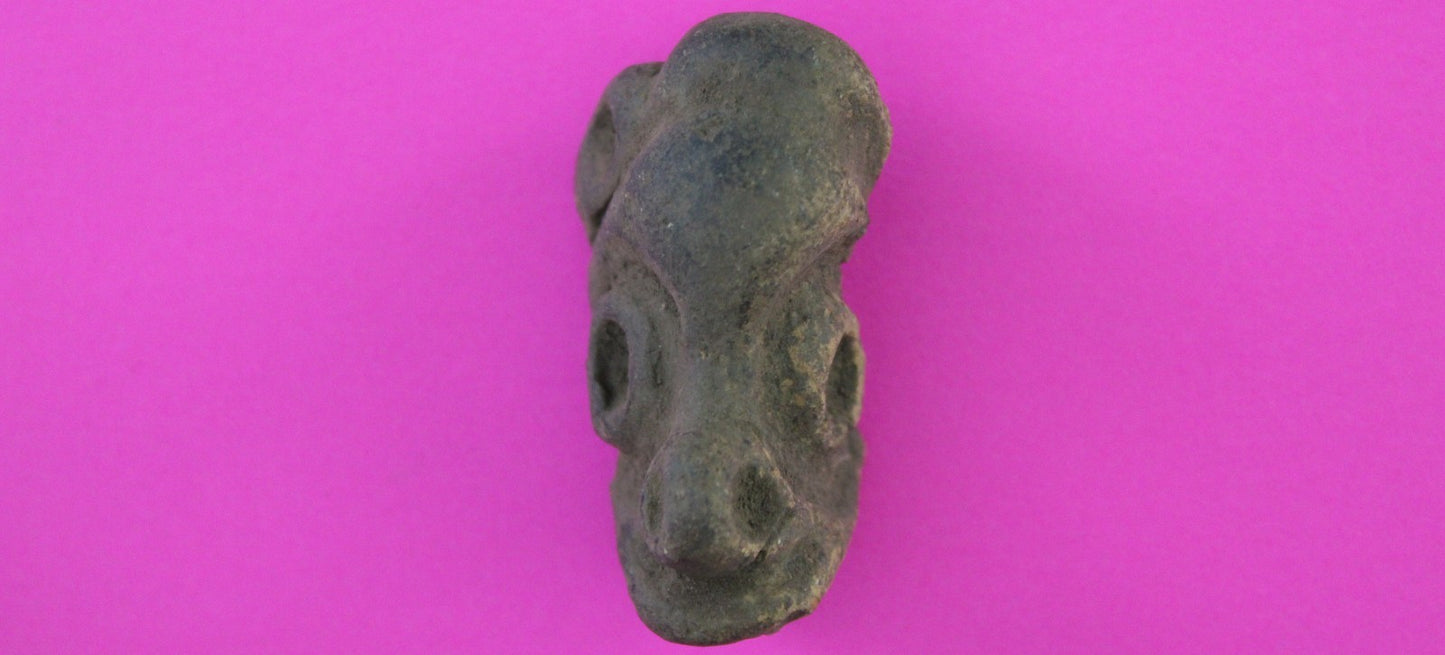 Puerto Rico Taino Pre Columbian Pottery Artifact FREE Display Case 1000A COA 100