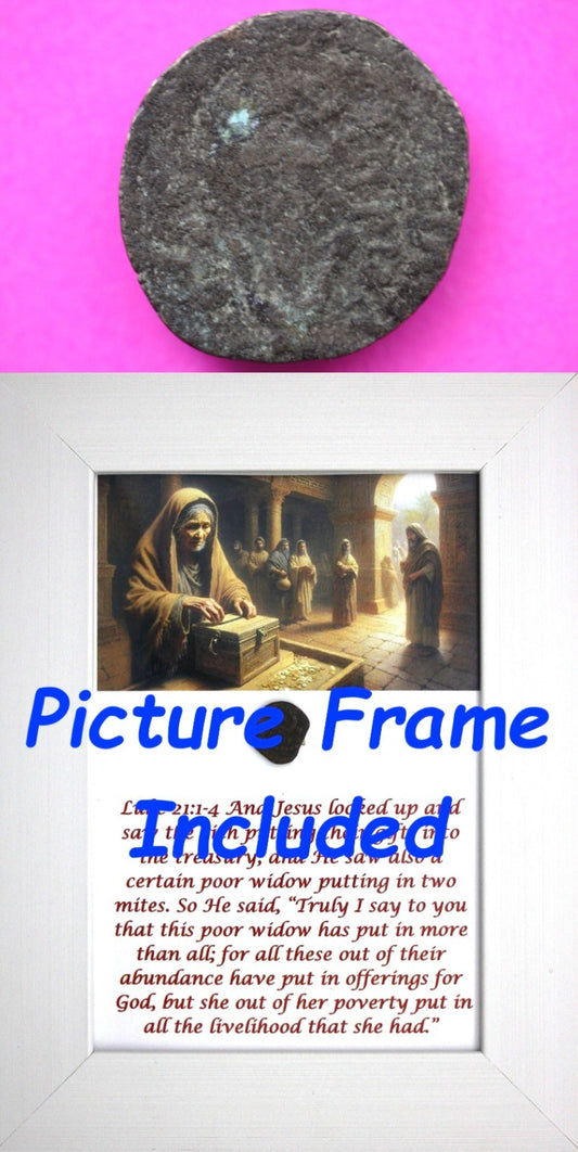 Widows Mite Coin Holy Land Artifact Free Display Frame Jesus Christ Lifetime 182