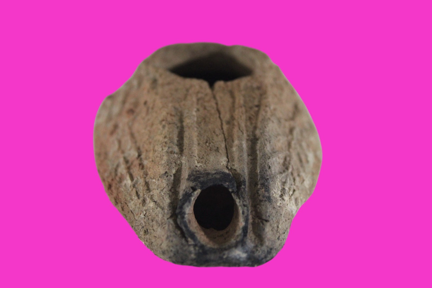 Oil Lamp Holy Land Ancient Artifact Jesus Christ Home Israel 300-600 AD COA 78