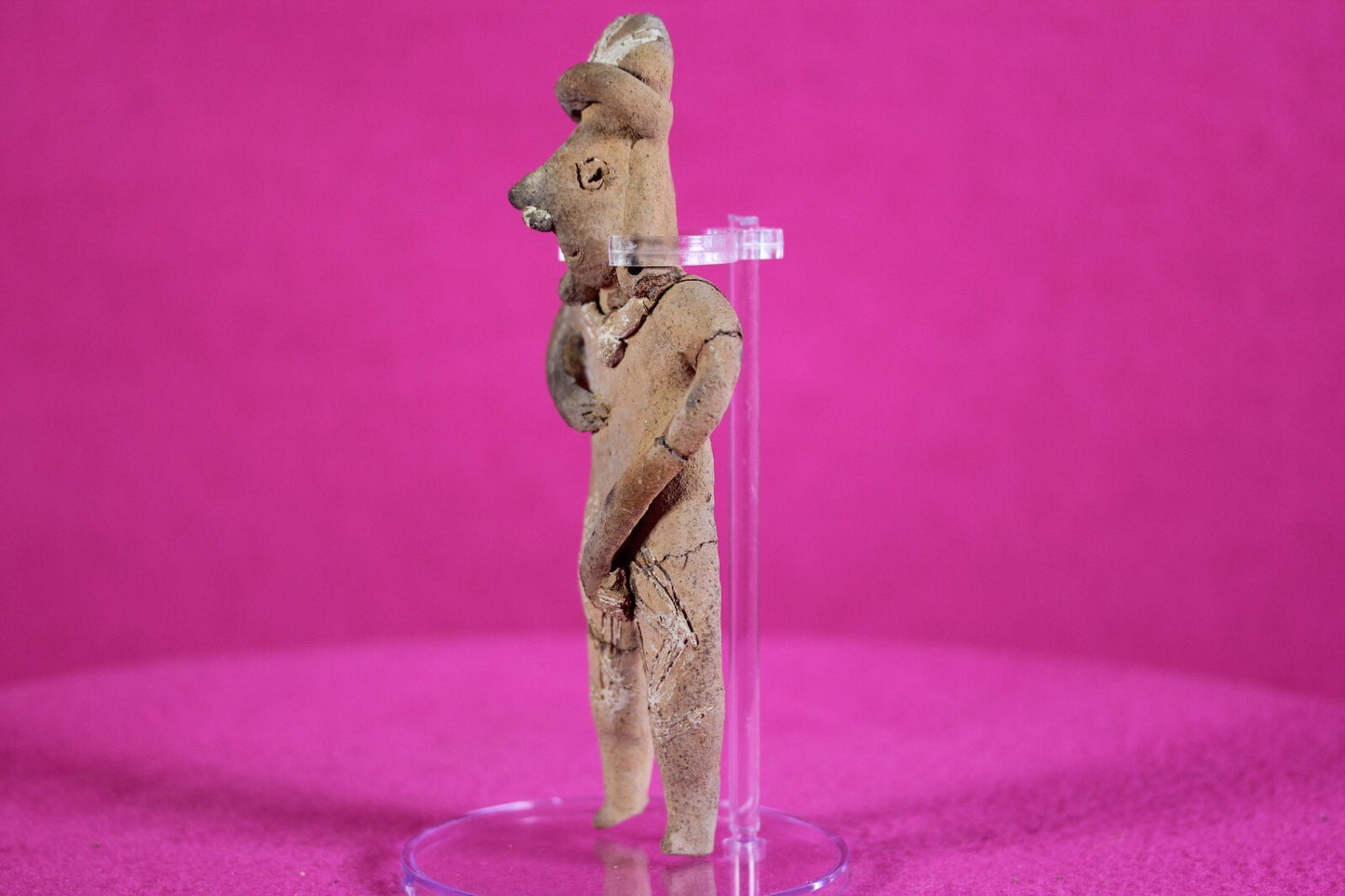 Pre Columbian Artifact Authentic Tomb Figure Colima Ex Arte Primitivo COA T74