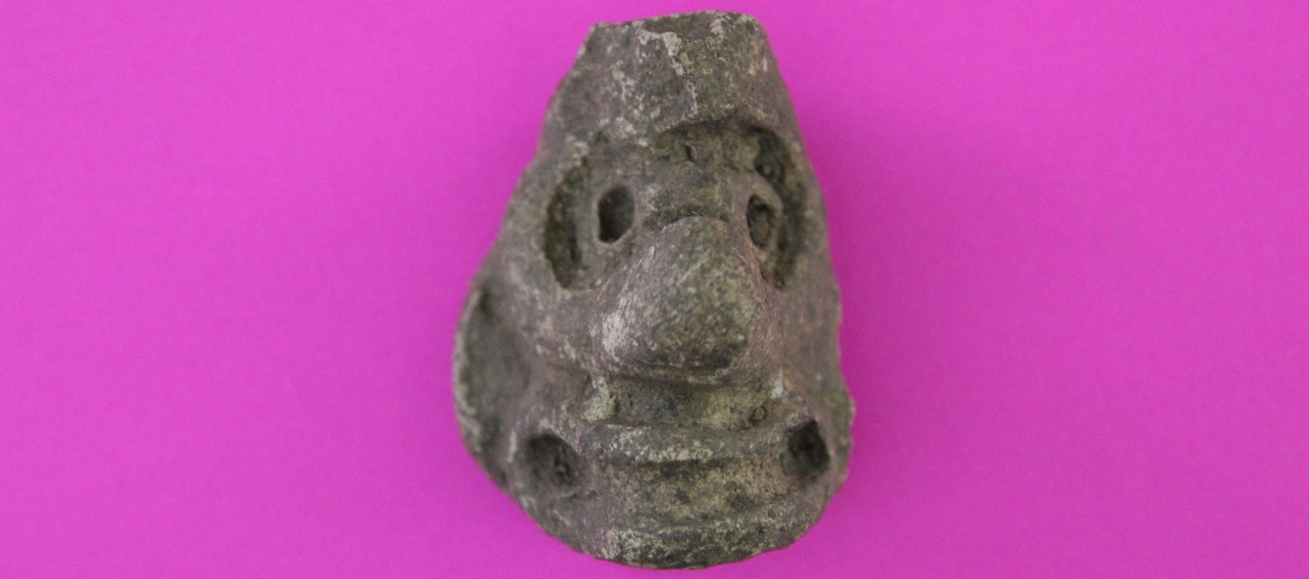 Puerto Rico Taino Precolumbian Pottery Artifact FREE Display Case 1000 AD COA 88