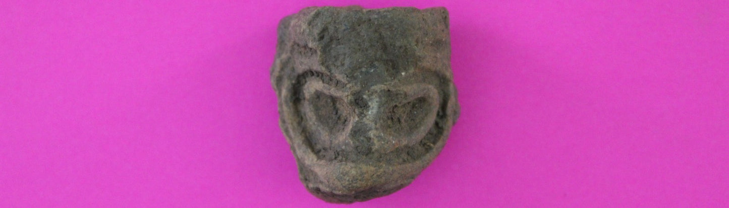 Puerto Rico Taino Pre Columbian Pottery Artifact FREE Display Case 1000AD COA 75