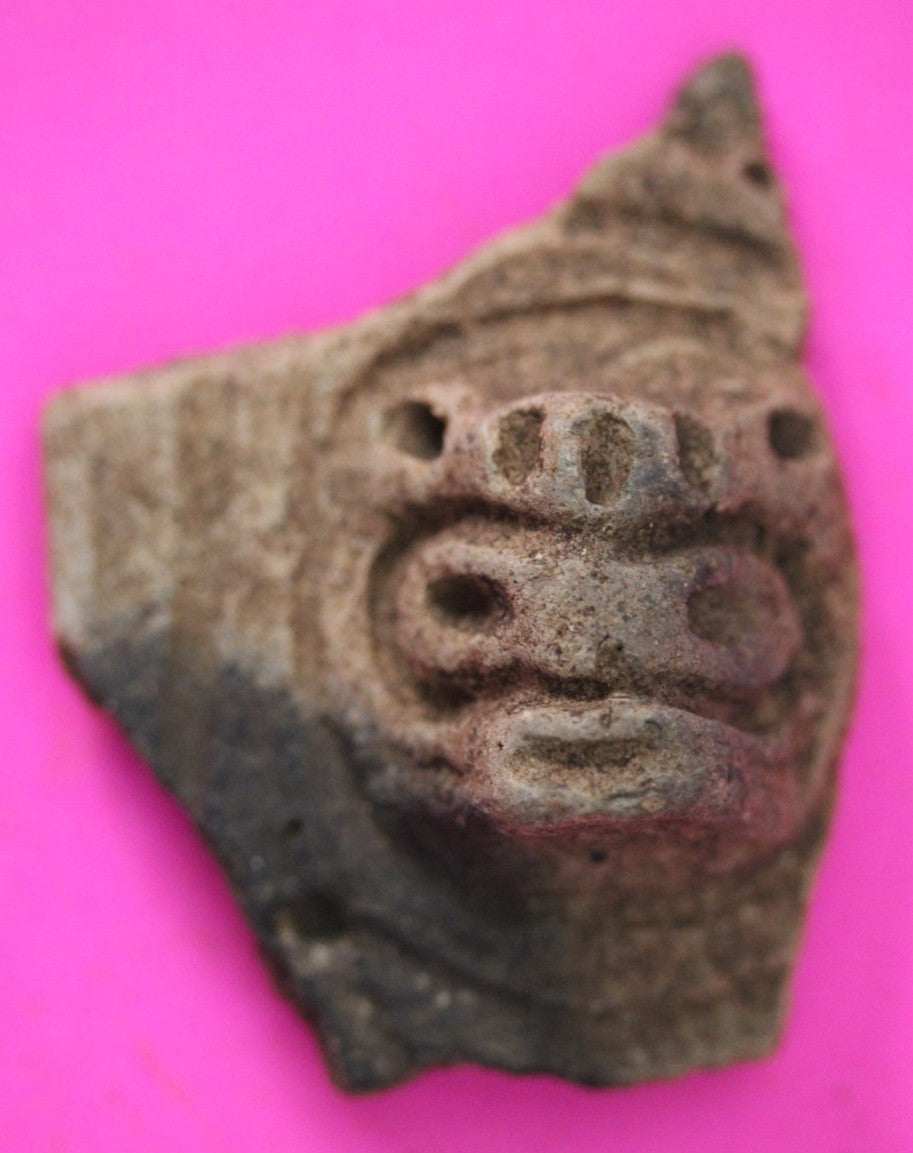 Puerto Rico Taino Pre Columbian Pottery Artifact FREE Display Case 1000AD COA 37