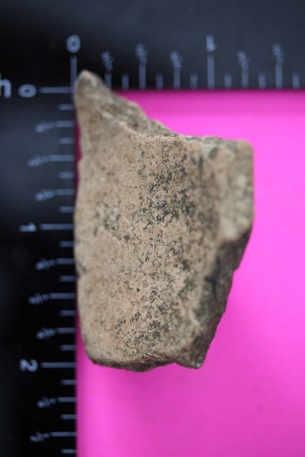 Puerto Rico Taino Pre Columbian Pottery Artifact FREE Display Case 1000AD COA 37