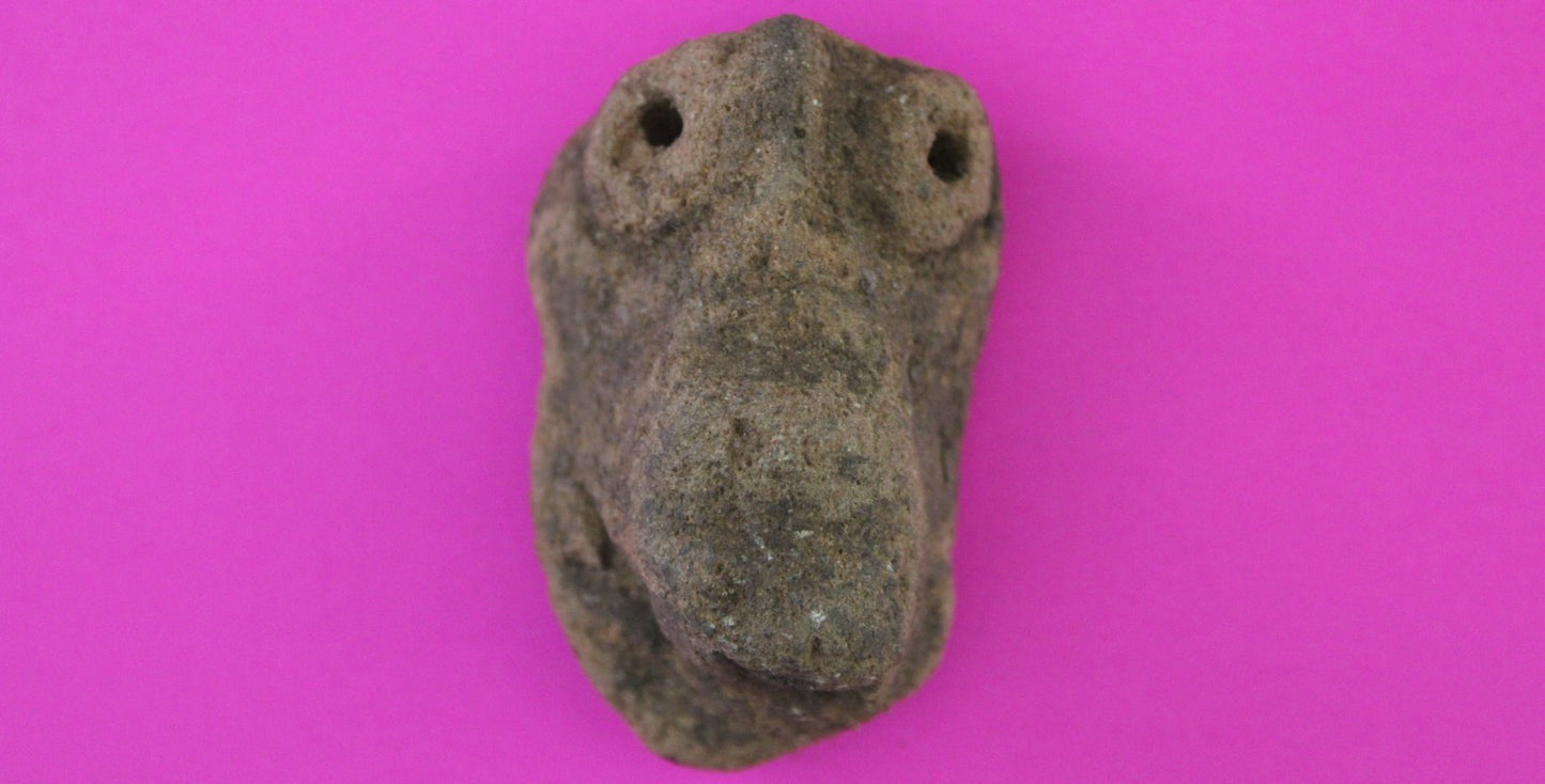 Puerto Rico Taino Pre Columbian Pottery Artifact FREE Display Case 1000AD COA 83