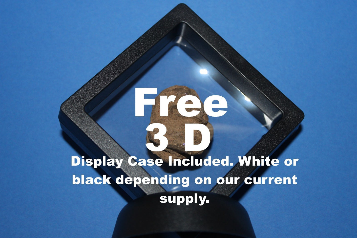 Puerto Rico Taino Pre Columbian Pottery Artifact FREE Display Case 1000AD COA 91