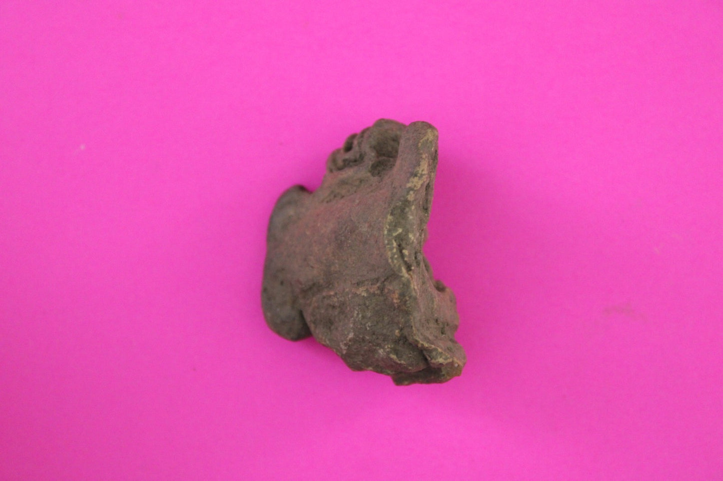 Puerto Rico Taino Pre Columbian Pottery Artifact FREE Display Case 1000AD COA 63