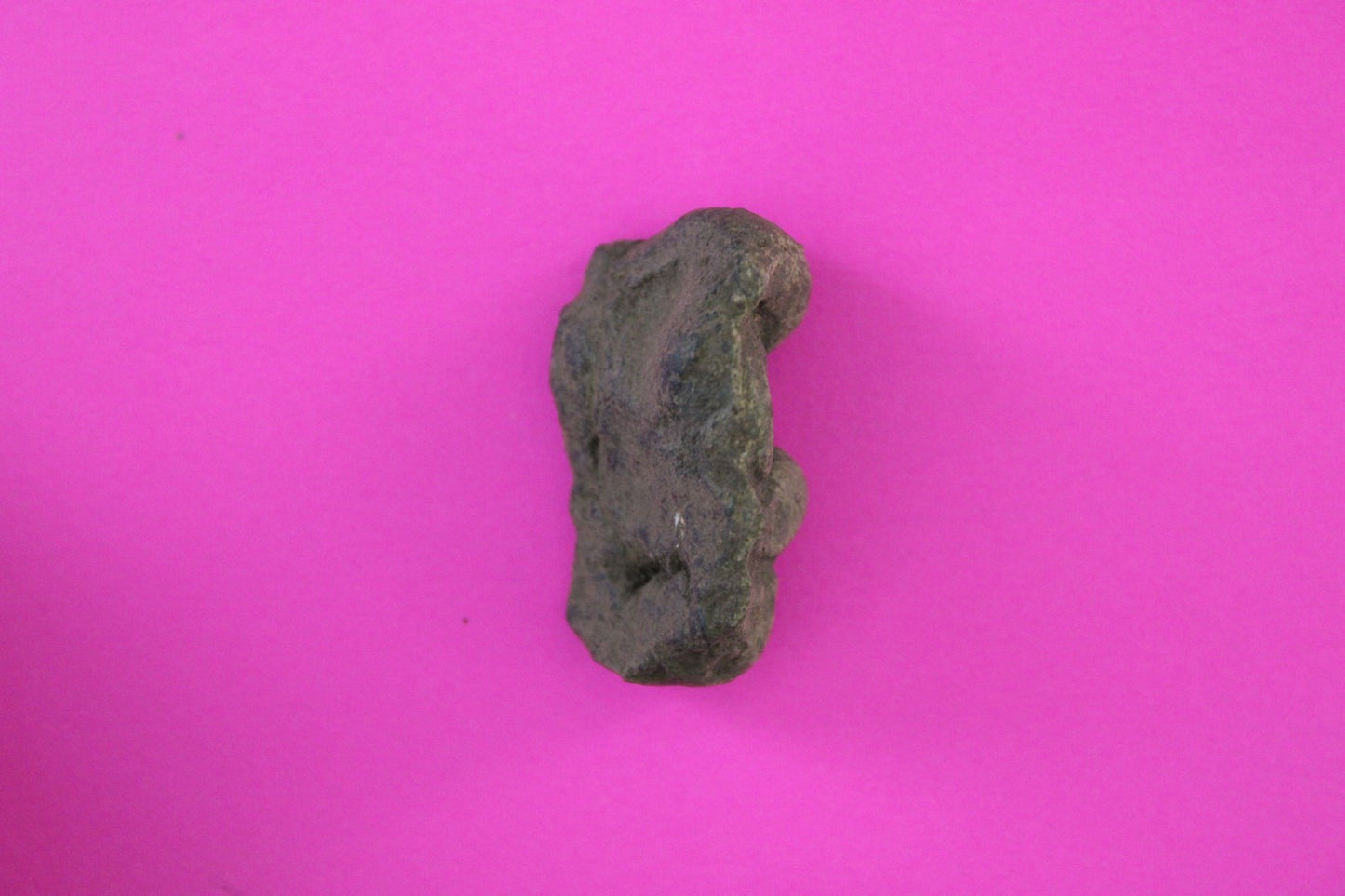 Puerto Rico Taino Pre Columbian Pottery Artifact FREE Display Case 1000AD COA 97