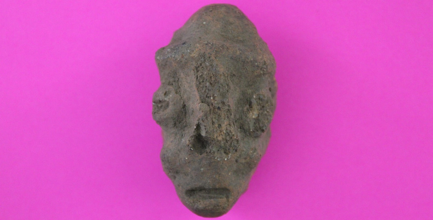 Puerto Rico Taino Pre Columbian Pottery Artifact FREE Display Case 1000AD COA 79