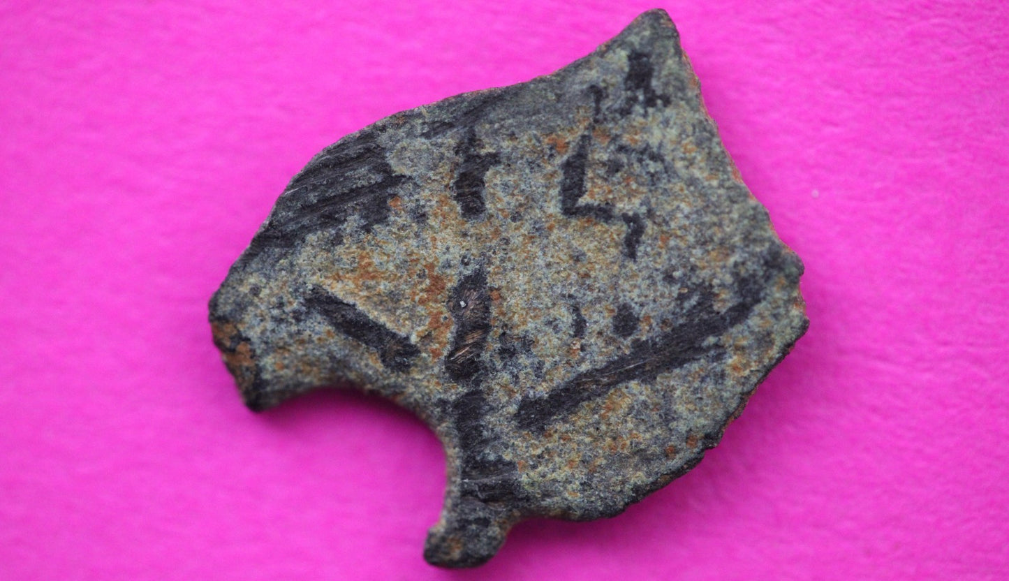 Widows Mite Coin Holy Land Artifact Free Display Frame Jesus Christ Lifetime 101