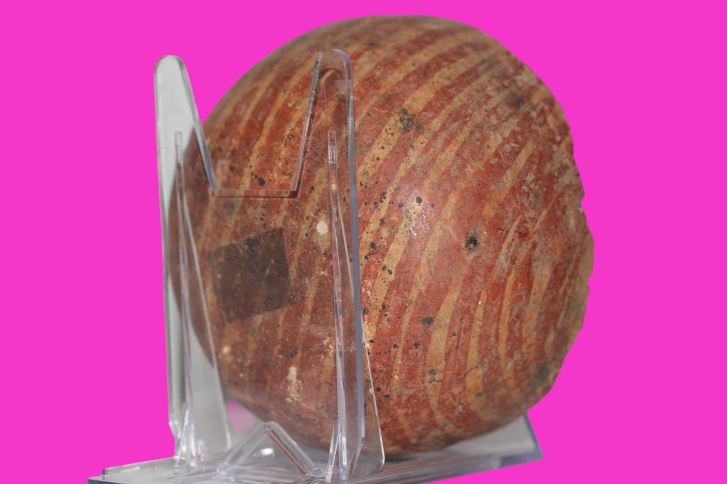 Pre Columbian Authentic Artifact Jalisco Small Bowl Mexico 200BC - 200AD COA J43