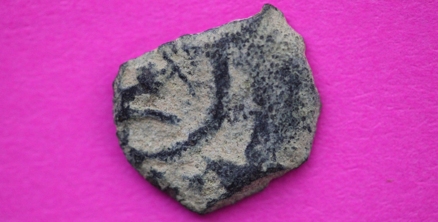 Widows Mite Coin Holy Land Artifact Free Display Frame Jesus Christ Lifetime 160