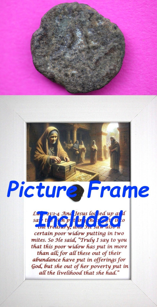 Widows Mite Coin Holy Land Artifact Free Display Frame Jesus Christ Lifetime 147