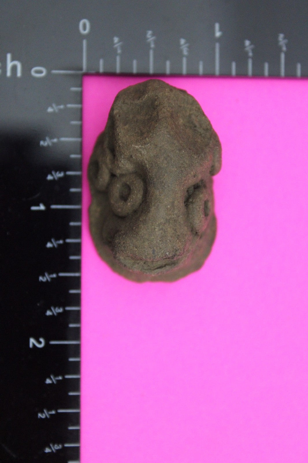 Puerto Rico Taino Pre Columbian Pottery Artifact FREE Display Case 1000AD COA 31